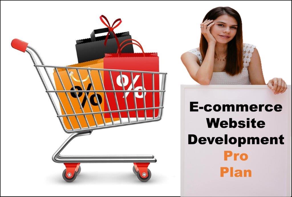 professional ecommerce website development agency in Richmond Virginia