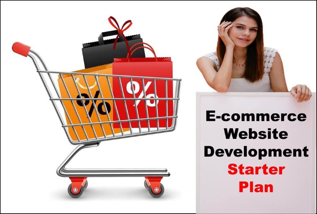 E-Commerce Website Development in Richmond Virginia