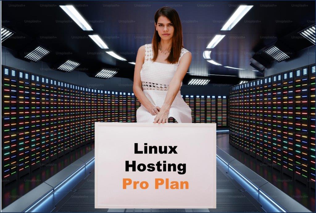 linux hosting windows hosting provider in Richmond Virginia