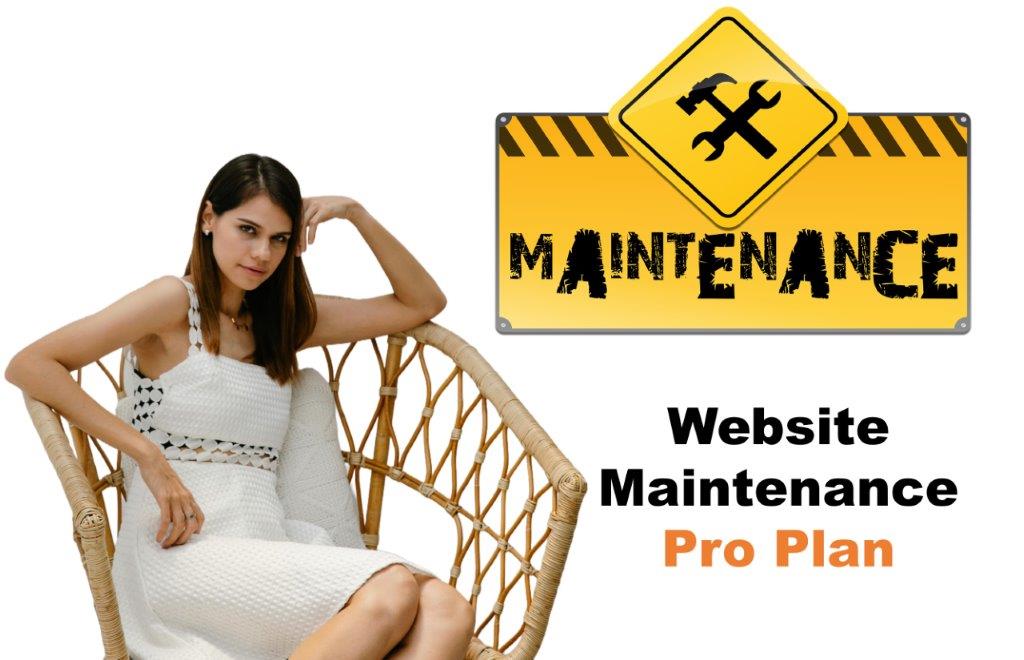 website maintenance agency in Richmond Virginia