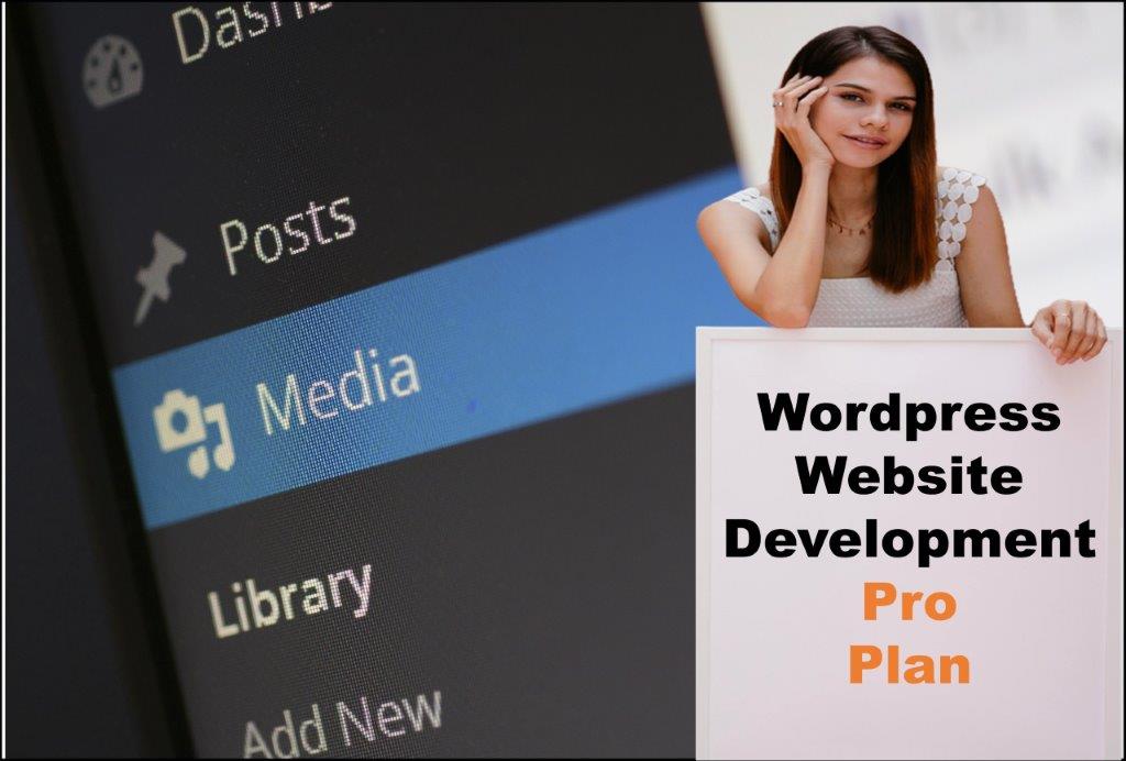wordpress website designing in Richmond Virginia