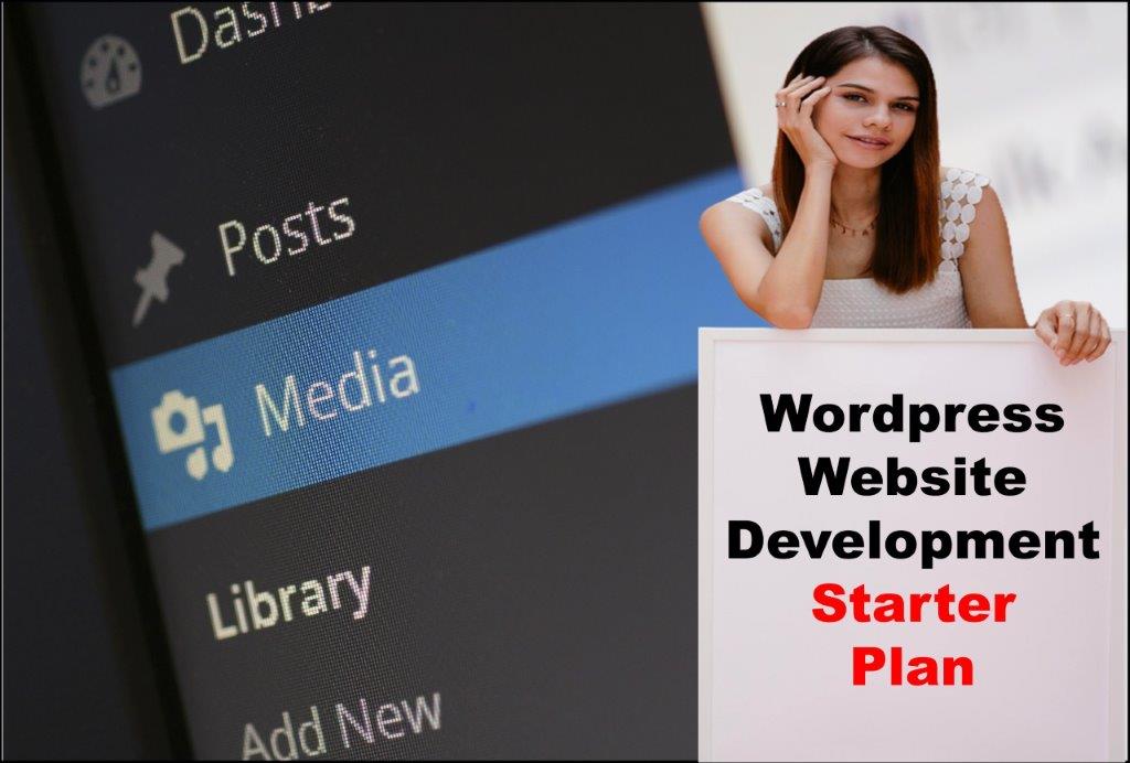Wordpress Website Development in Richmond Virginia